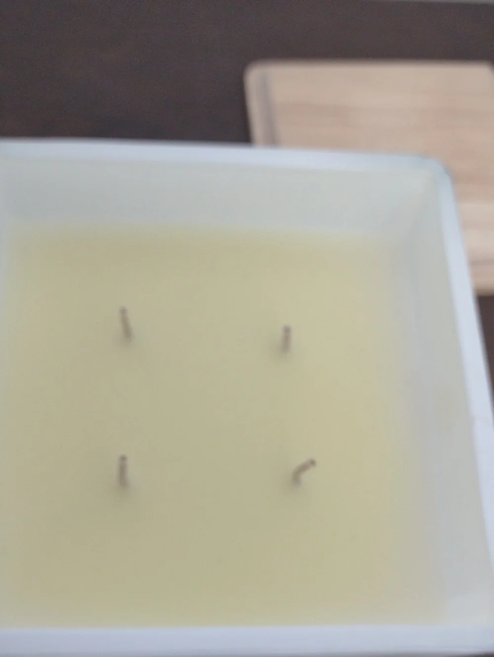 Sand + Fog Ocean Mist 4 Wick Candle - White